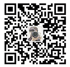 动画制作公司""